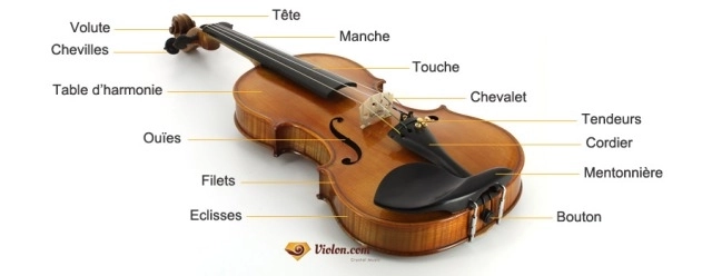 schema-violon schema-violon_A_CHANGER